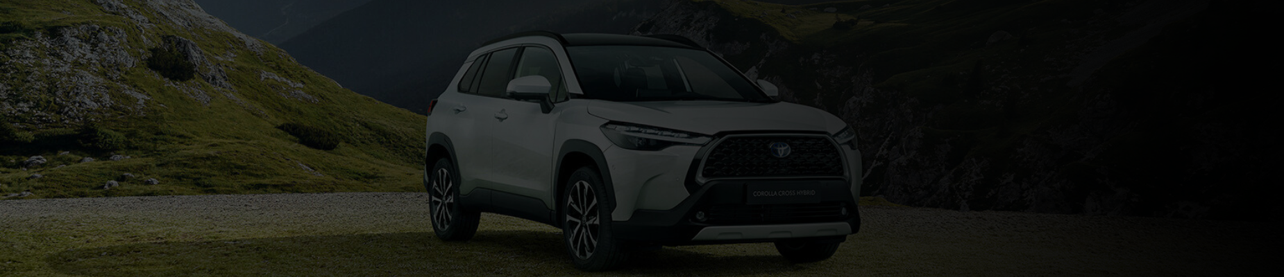 נגישות אתר טויוטה סלקט